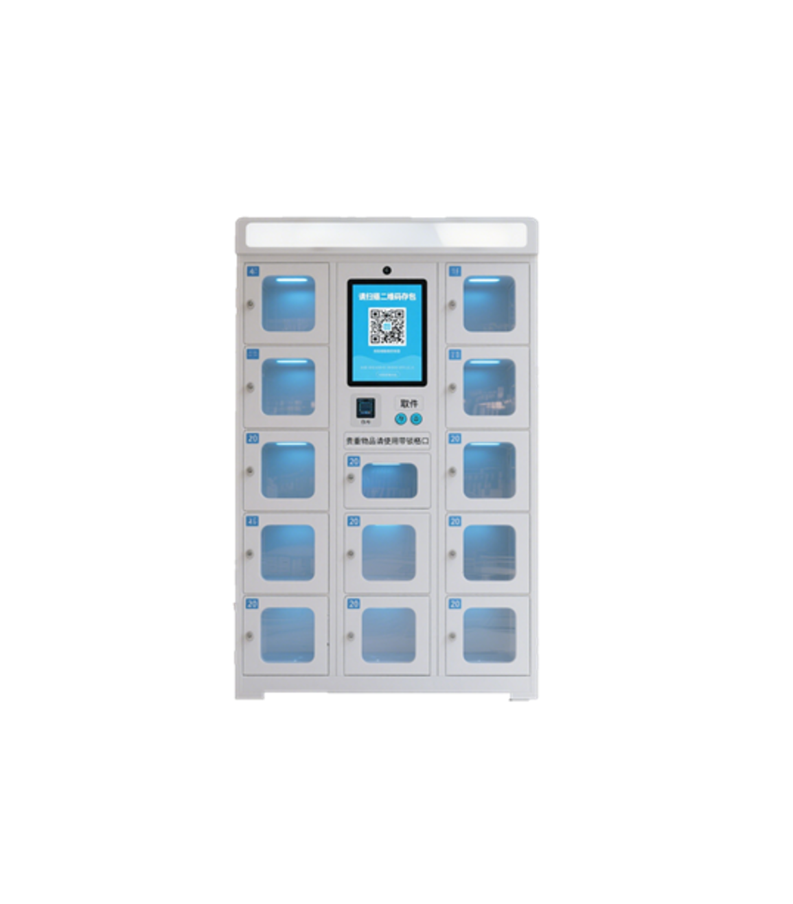 Public Storage Locker